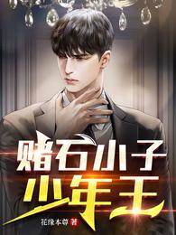 賭石小子少年王