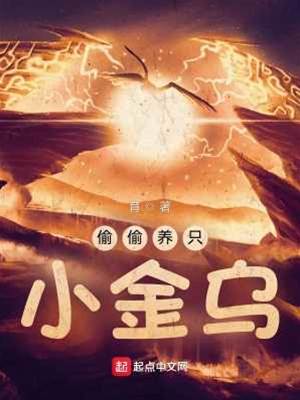 偷偷養只小金烏貼吧
