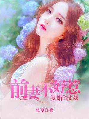 前妻難惹復婚無望