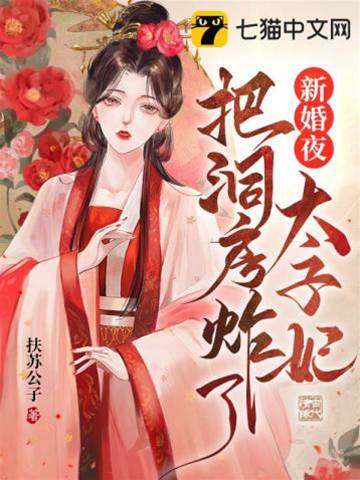 太子妃炸了洞房