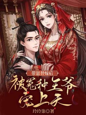 帶崽替嫁入王府