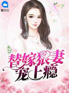 替嫁嬌妻狠上癮