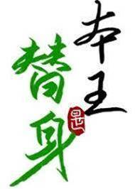 替身竟是本王自己