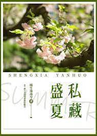 盛夏只藏你