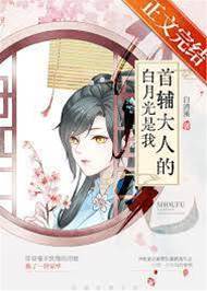 首輔心上月
