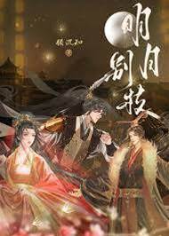 明月归枝