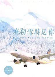 初雪时与你