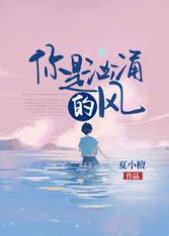你如狂风入怀