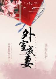 夺娇成妻