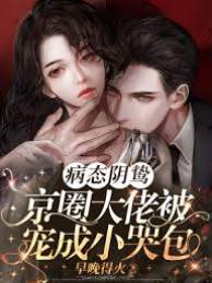 重生寵哭京圈大佬
