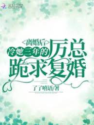 離婚后厲總悔瘋了