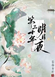 第三十年明月夜