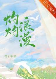灼灼入怀