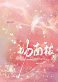 南枝入怀