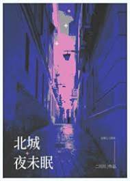 北城雪夜陷落