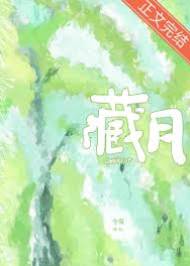 藏不住月