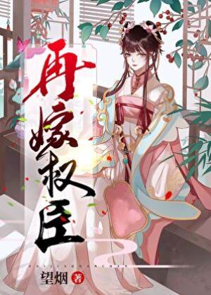 夫人如此多嬌/再嫁權相