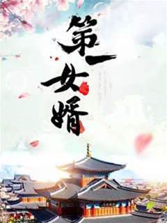 第一女婿