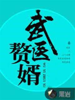 武醫贅婿