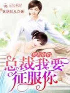 契約情侶：總裁我要征服你