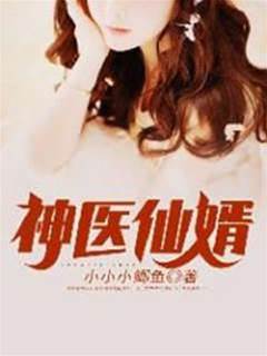 神醫仙婿