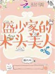 盛少的木頭美人