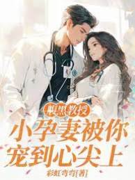 腹黑教授宠孕妻