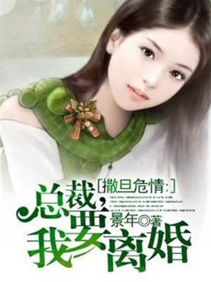 總裁我要離婚