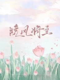 晚风吻过她