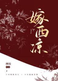 改嫁西涼王