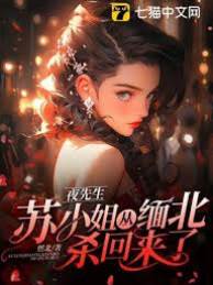 夜先生，蘇小姐從緬北回來了