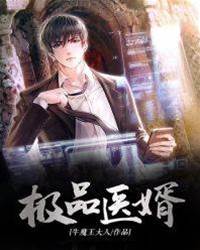 極品醫婿