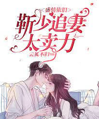 靳少追妻难回头