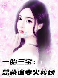 三寶歸來虐總裁