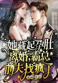 藏孕离婚后他疯了
