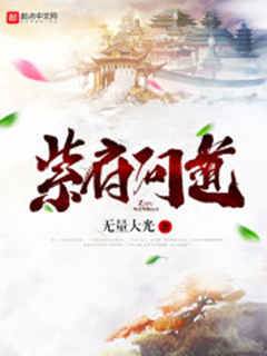 紫府問道