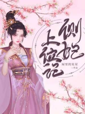 側妃爭寵錄