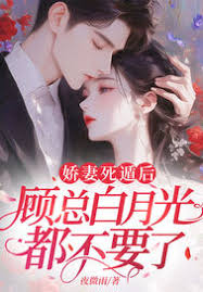 顧總追妻失控了