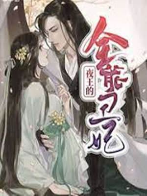 夜王的全能醜妃