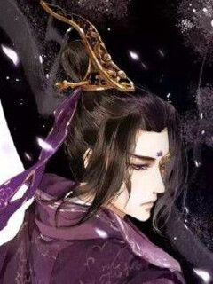 嫡子王爺