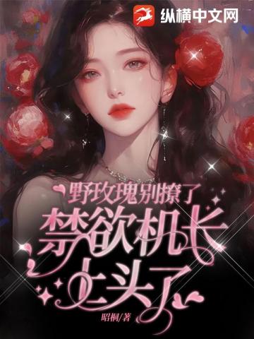 野玫瑰撩瘋機長