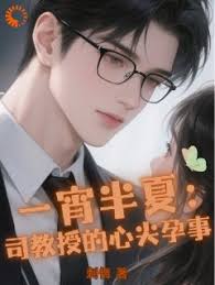 司教授心尖孕