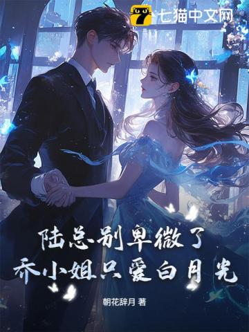 陸總別再卑微了