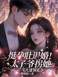 孕肚退婚嫁太子