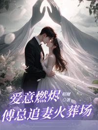 愛燼傅總追妻