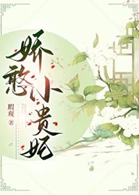 嬌憨才人入宮