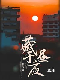 藏于晝夜