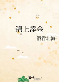 錦上添金