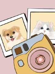 毛茸茸飼養日記