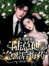 虐完前妻：陸總他急需後悔藥